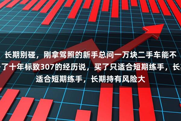 长期别碰，刚拿驾照的新手总问一万块二手车能不能入，以我开了十年标致307的经历说，买了只适合短期练手，长期持有风险大